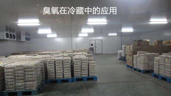 臭氧在冷藏中的應用